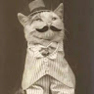 Meet your Posher, Steve